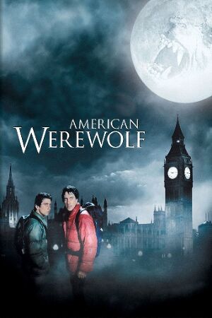 Bild zum Film: American Werewolf