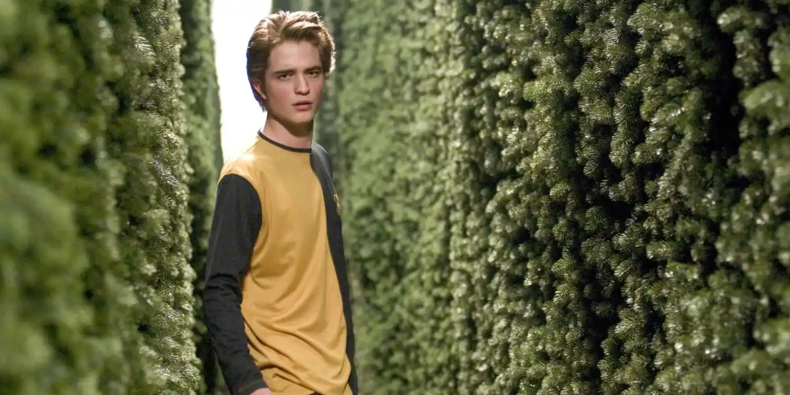 Cedric Diggory beim Trimagischen Turnier